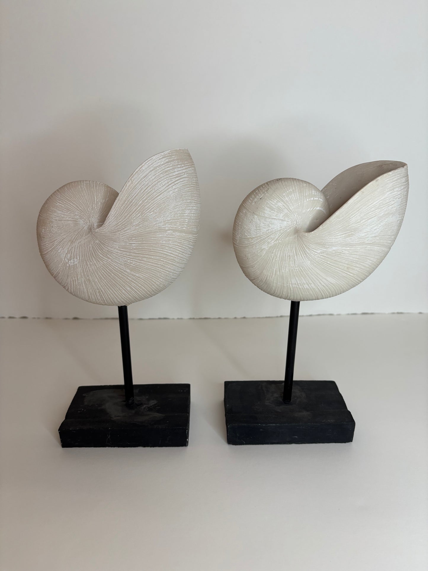 Home Decor Seashell Book Ends