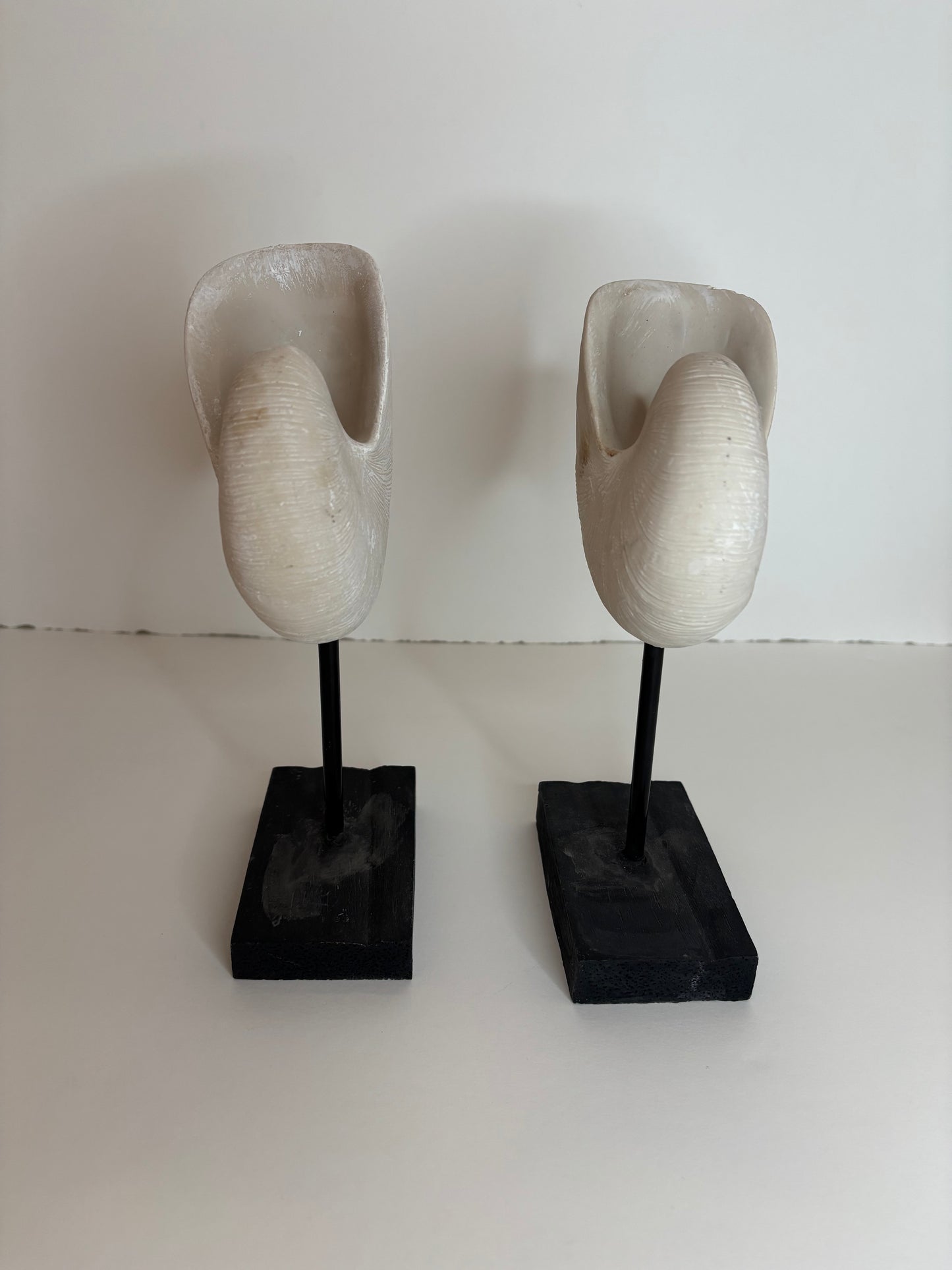 Home Decor Seashell Book Ends