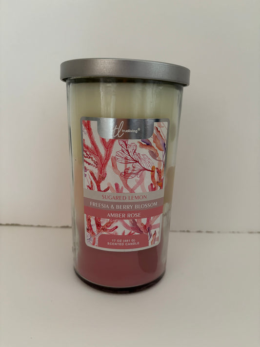 1- Wick Candle 17oz (gift)